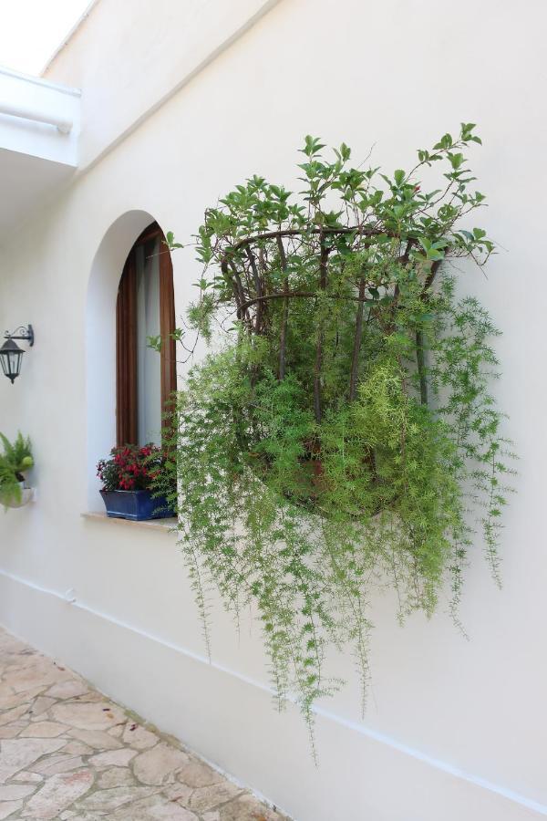 Il Trullo Del Cadetto Villa Francavilla Fontana Exteriör bild