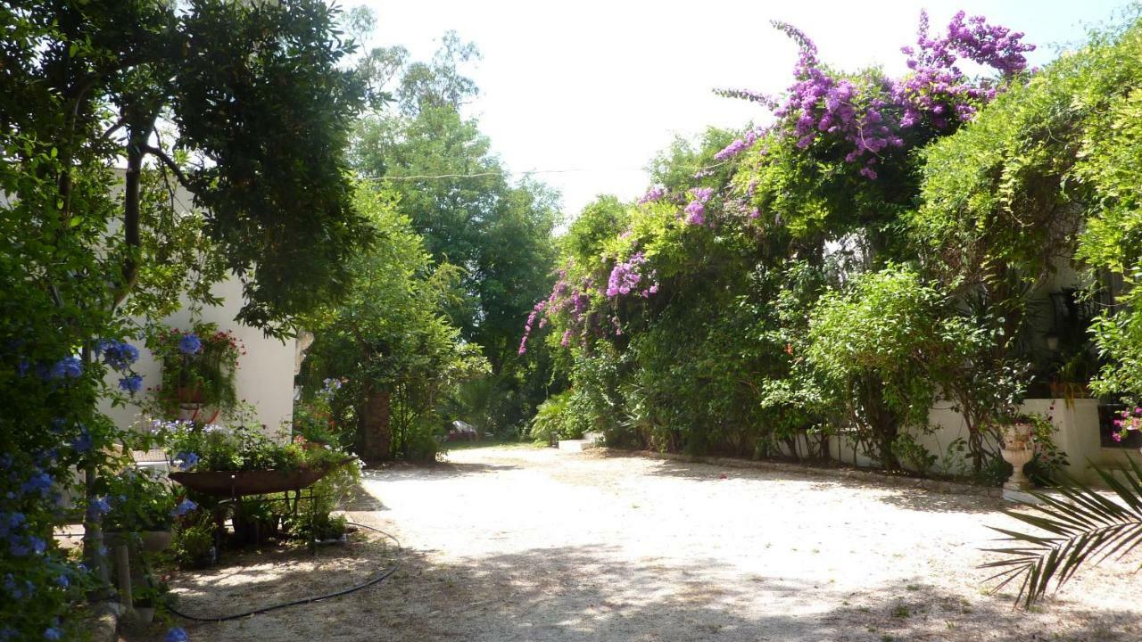 Il Trullo Del Cadetto Villa Francavilla Fontana Exteriör bild