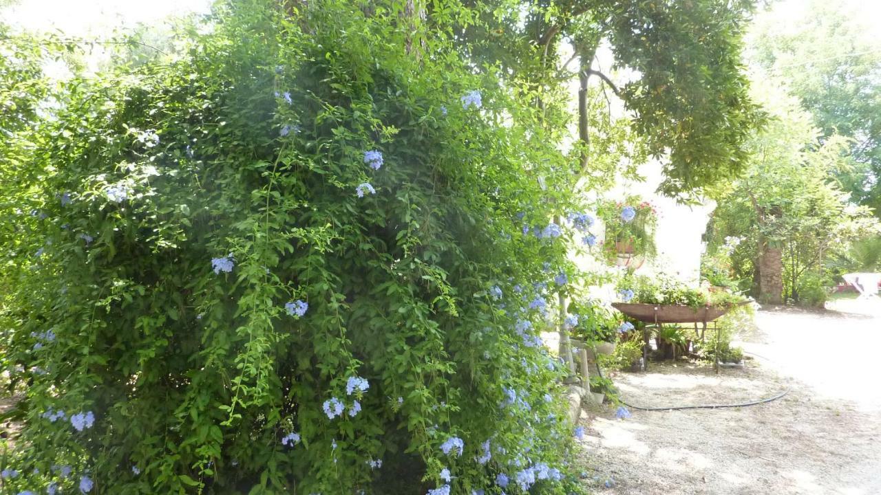 Il Trullo Del Cadetto Villa Francavilla Fontana Exteriör bild