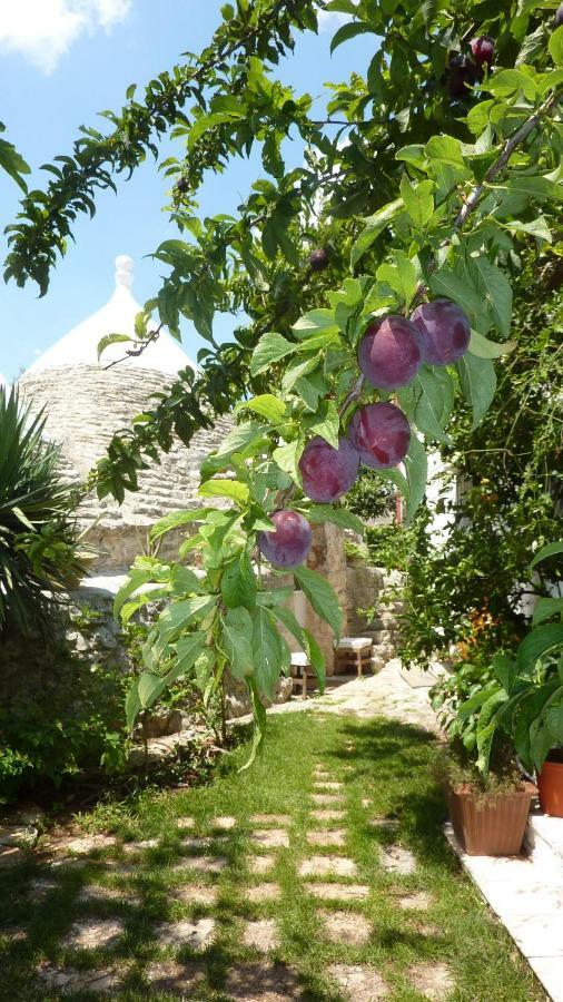 Il Trullo Del Cadetto Villa Francavilla Fontana Exteriör bild